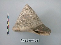藏品(螺類)的圖片